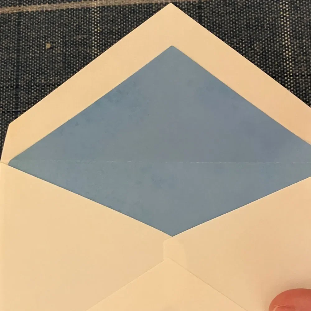 10 White and Blue Envelopes